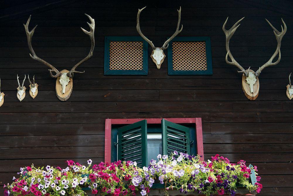 Angerer Alm Hotel Sankt Johann in Tirol Buitenkant foto